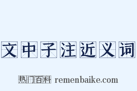 文中子注近义词是什么意思的图片
